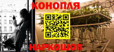 шишки Кулебаки