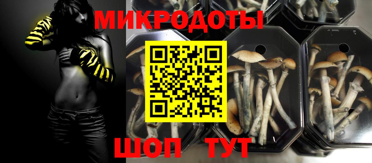 Псилоцибиновые грибы прущие грибы Елец