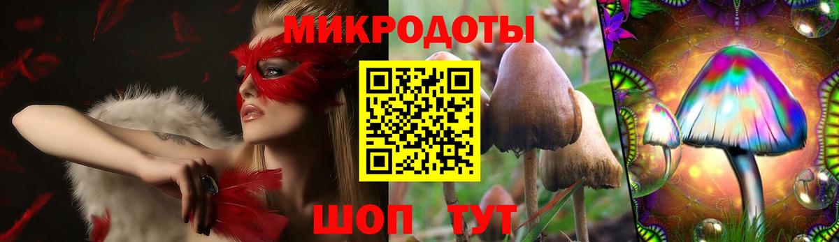 цены наркотик  Вход с VPN  Елец  Псилоцибиновые грибы Psilocybine cubensis 